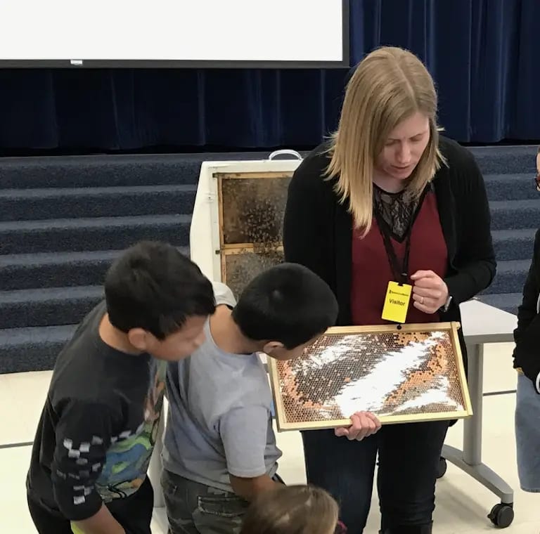 Teaching about honeybee biology